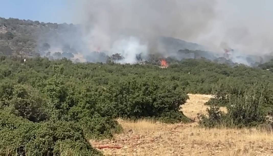 Kahramanmaraş'taki orman yangını kontrol altına alındı 7
